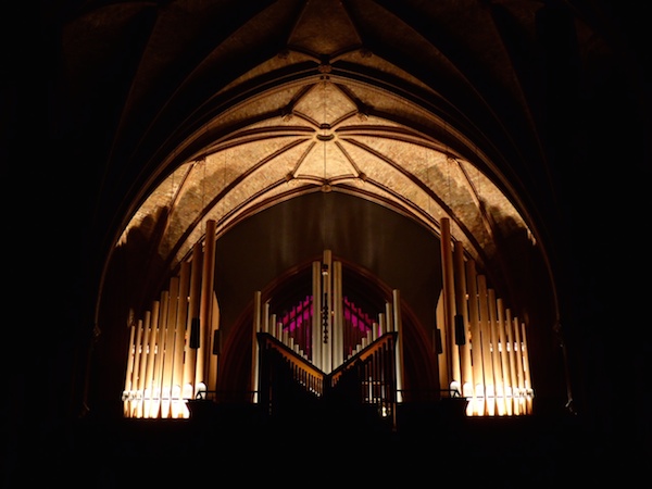 Organ-X_01